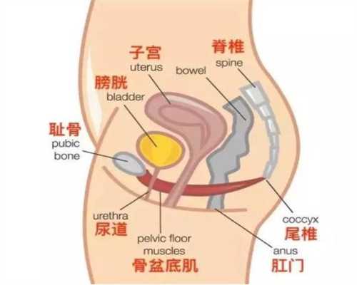 上海代孕生子多少钱_孕妇乳房胀痛怎么办