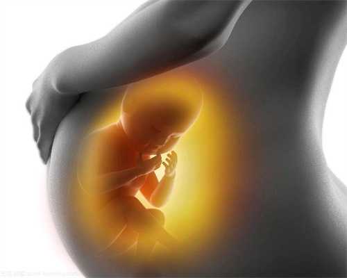 代孕在线咨询_胎儿最开始发育的器官