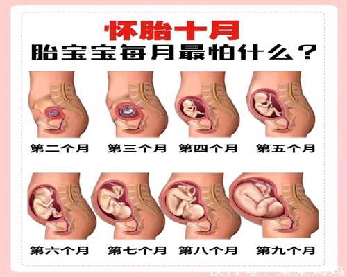 上海代孕服务哪家好_孕妇拉肚子对胎儿有影响吗