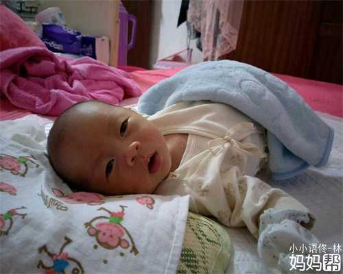 上海代怀孕价格多少_培养宝宝正确饮食口味的4种方式