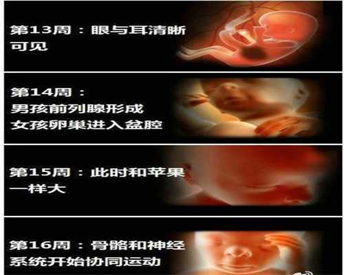 上海代孕医院好不好_孕后子宫内膜厚度多少正常