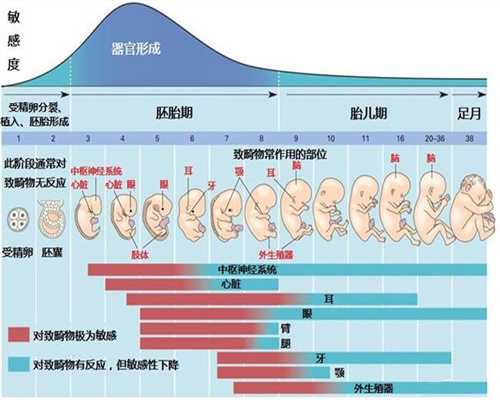 上海代孕去哪里找_哺乳期妈妈能烫头发吗