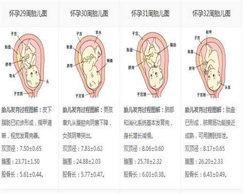 上海代孕医院贵不贵_女性甲状腺功能减退影响后代智力 了解很重要