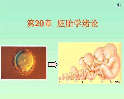 上海代怀孕qq群_孕期体重长太多对胎儿并不好