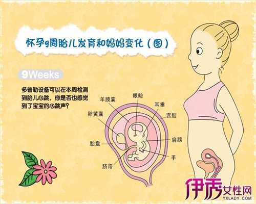 上海上海代孕价格_孕早期孕酮增长跟不上孕龄怎么办