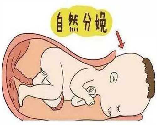 上海代孕小孩多少钱_孕期44天有什么反应