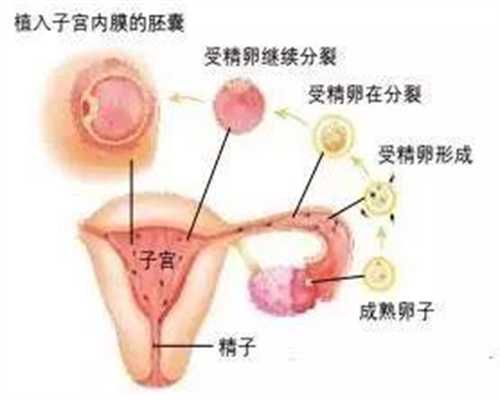 上海哪里有女人代孕的_孕妇冬季晒太阳注意事项