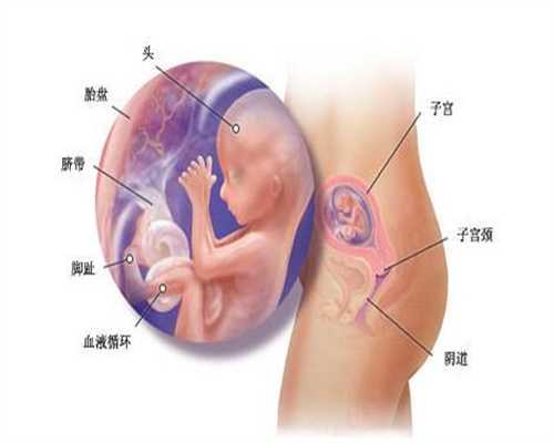 上海想急找代孕女人_怀孕2个月坐车颠影响吗