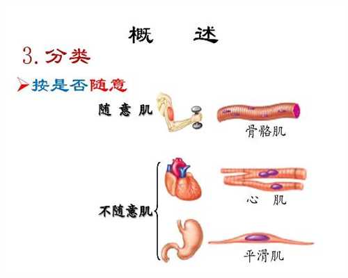 上海代孕地址_孕妇拉肚子宜吃以下3类食物