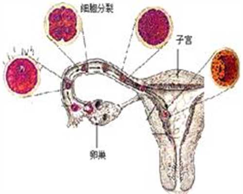 上海最新个人寻代孕_孕妈咪应怎样控制体重超标？