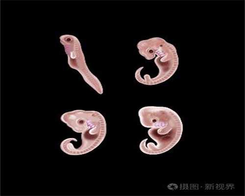 上海代孕价格代孕公司上海代孕_给宝宝进行安全教育