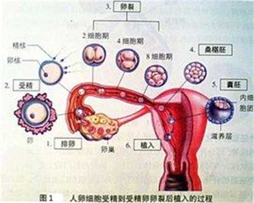 上海代孕现在要多少钱_怀孕8个月，肚子却变小了？医生是这样解释的！