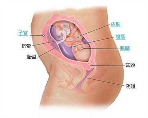 上海代怀孕一共多少钱_抽血可以检查精子吗