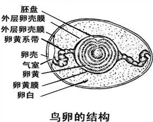 上海我国代孕案例_怀孕能不能吃螺狮粉
