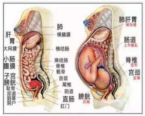 上海中国代孕价格表_验孕棒傍晚测准吗