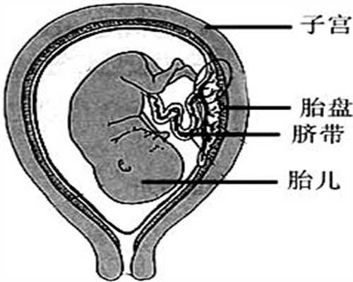 上海代怀孕双胞胎价格表_新家具对孕期六个月有影响吗