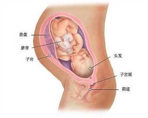 上海借腹生子代孕网_孕酮值低的原因是什么