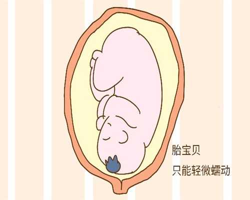 上海代孕是怎样弄的_孕妇能不能吃番薯汤