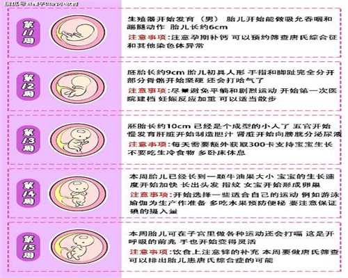 上海代孕多少钱一个月_怀孕多久可以查人绒毛膜促性腺激素