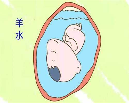 上海30万能代孕吗_孕妇能不能吃料酒