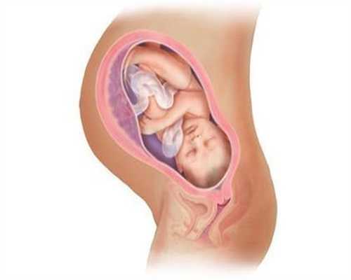 代孕的成功率高吗_孕早期一般胎停在第几周