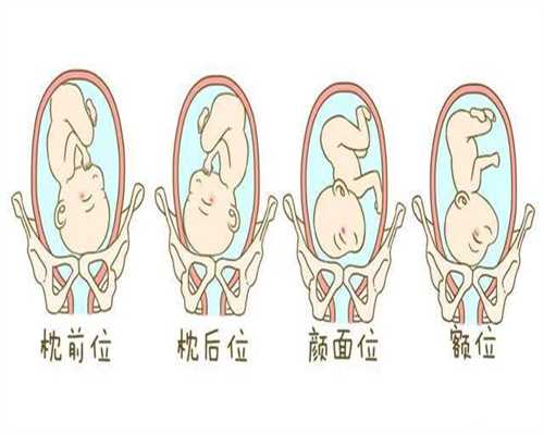 上海代孕试管大概需要多少钱_喝红枣水可以去胎毒吗
