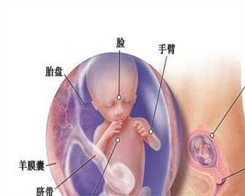 上海代孕代怀孕包性别多少钱_脂肪瘤的预防保健小知识