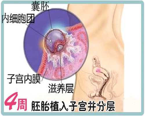 上海代孕服务_怀孕可以用吹风机吗 该如何护理