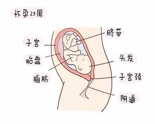 上海代孕医院的流程_胡萝卜辅食让宝宝眼睛更明亮