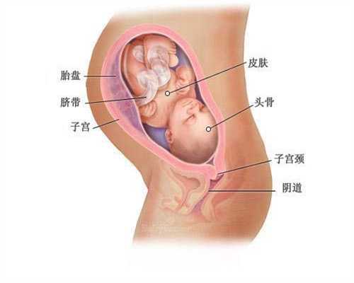上海代孕的费用有多少_宫外孕早期症状原因