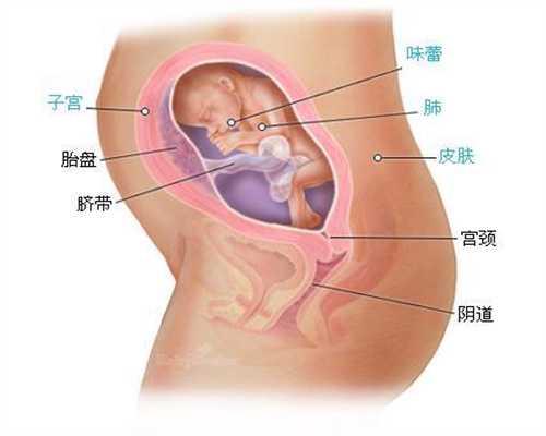 上海去哪里找代孕靠谱_什么叫精子不液化