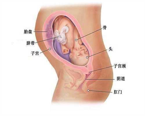 上海代孕小孩多少钱_新生儿遗传代谢病的筛查，大家要注意了