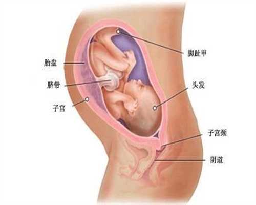 上海代怀孕价格表明细_哺乳期维A需求