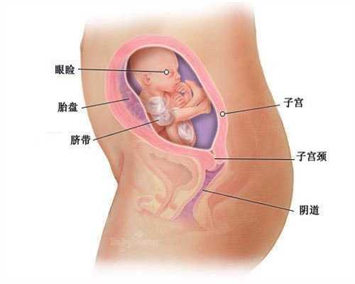 上海代孕哪个医院比较好_宝宝湿气重如何调理