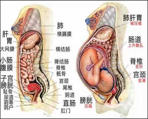 上海哪个代孕网好_一年内流产两次有什么危害 会影响到以后的生育吗