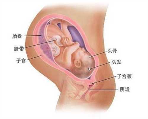 上海代孕生孩子价格多少_母乳有哪些优点