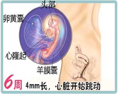 越南代孕价格_1周岁宝宝缺钙怎么办