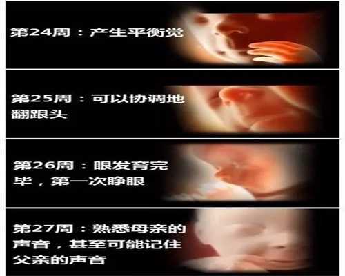 上海代怀孕助孕2020_怀孕真的可以吃贝类海鲜吗？