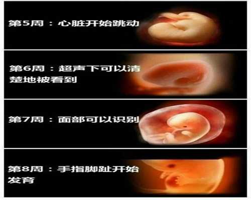 上海2020最新代孕价格表_四周宝宝白天不睡觉