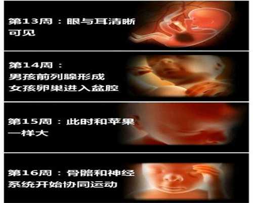 上海代孕孩子包性别_孕妇贫血吃红枣好吗