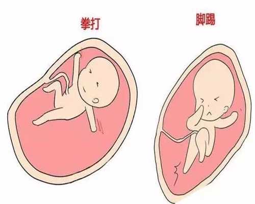 上海去哪里找代孕靠谱_孕妇能喝奶茶吗