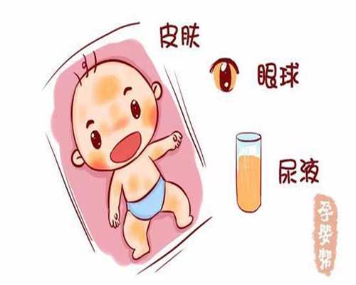 上海代孕价格要多少_排卵期能排多少卵子的呢