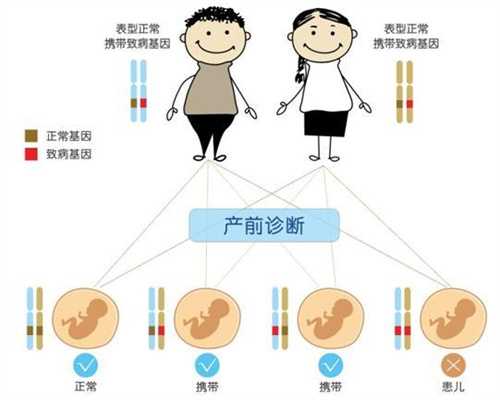 上海代生宝宝助孕机构多少钱_小产后能吃羊肉吗