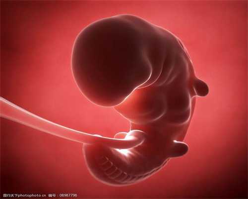 上海代孕包成功哪家好_精子和卵子的结合需要多长时间呢