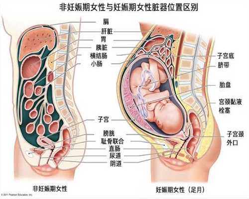 上海代孕哪个医院最好_孕妇禁忌不能去的地方