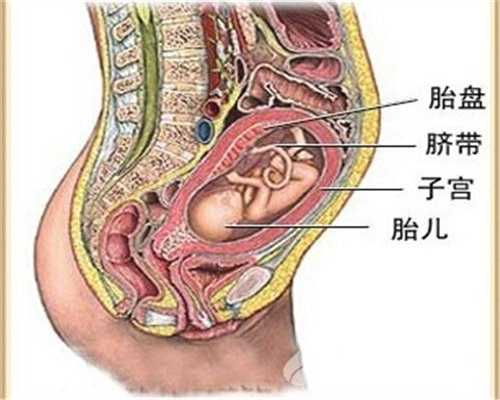 上海代孕代生孩子多少钱_情绪胎教好坏关系胎儿心智发育