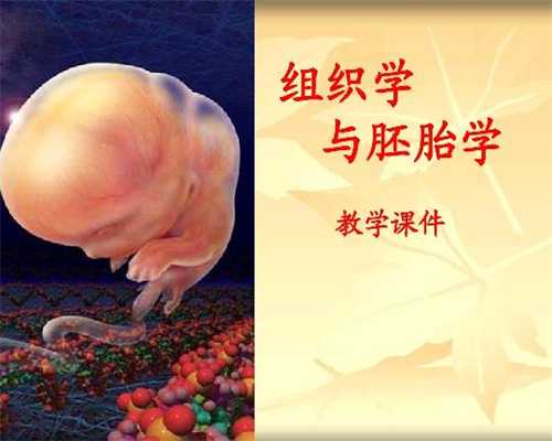 上海代孕那家成功率高_孕晚期b超做多了对胎儿有影响吗