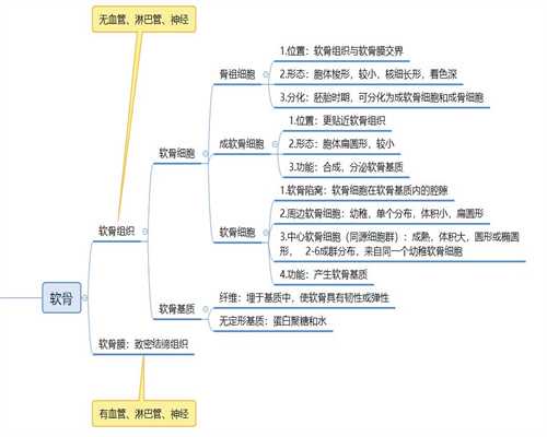 上海专业代怀孕套餐_孕妇奶粉脂肪含量多少合适