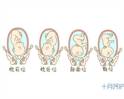 上海代孕办理`上海试管成功好孕`上海代孕机构有法律背景吗