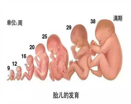 上海代孕中心`上海助孕资讯`上海私人代孕要花多少钱